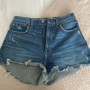 Curve Love high waisted shorts